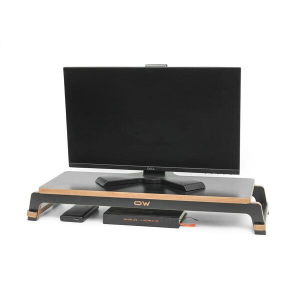 Large monitor stand